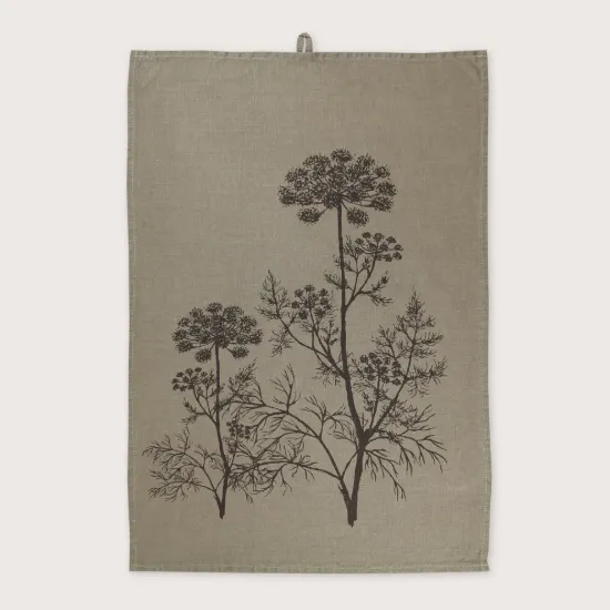 Bild von Geschirrtuch APIACEAE/se