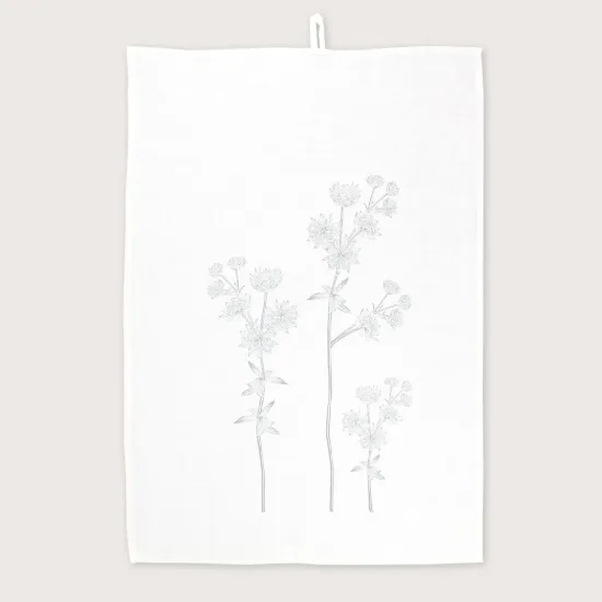 Bild von Geschirrtuch ASTRANTIA/w