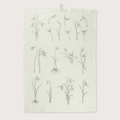 Bild von Geschirrtuch GALANTHUS/lg