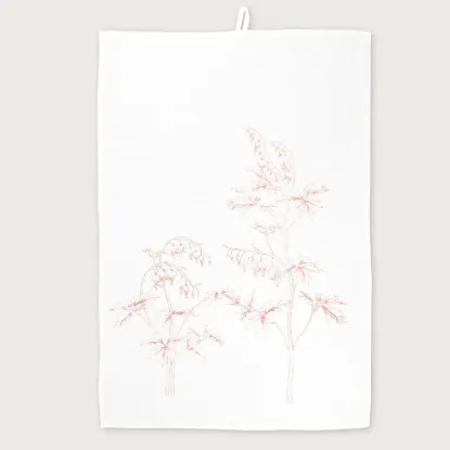 Bild von Geschirrtuch TDH/w