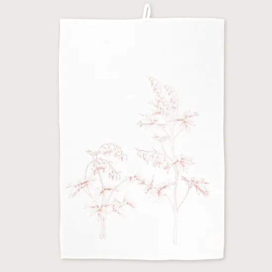 Bild von Geschirrtuch TDH/w