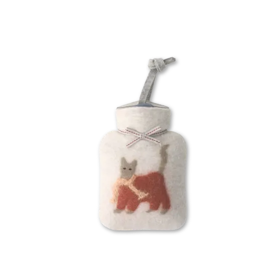 Bild von Katze
