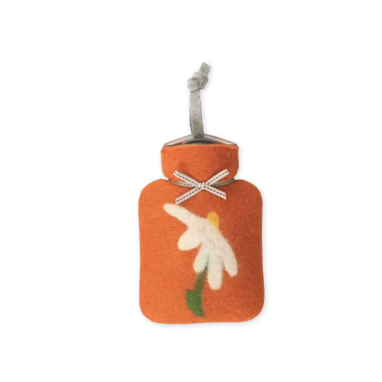 Bild von einzelne Magerittenblüte