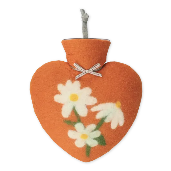 Bild von Einzelne Magerittenblüte