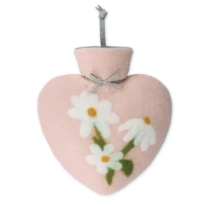 Bild von Einzelne Magerittenblüte