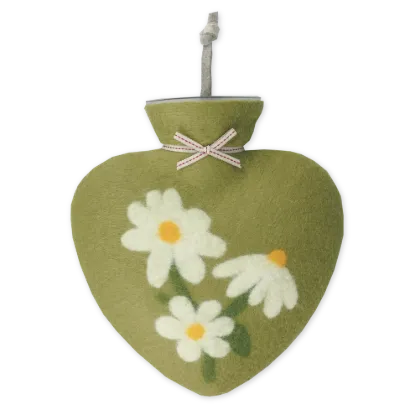 Bild von Einzelne Magerittenblüte