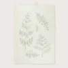 Bild von Geschirrtuch FERNLEAVES/lg