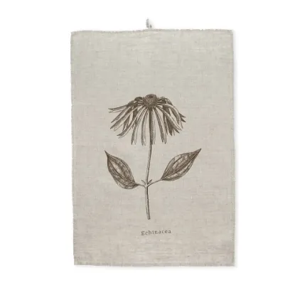 Bild von Geschirrtuch TO-ECHINACEA/n (67 x 65)