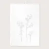 Bild von Geschirrtuch ASTRANTIA/w