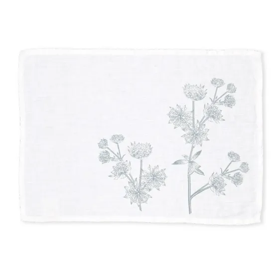 Bild von Tischset SET-ASTRANTIA/w-u (32 x 45)