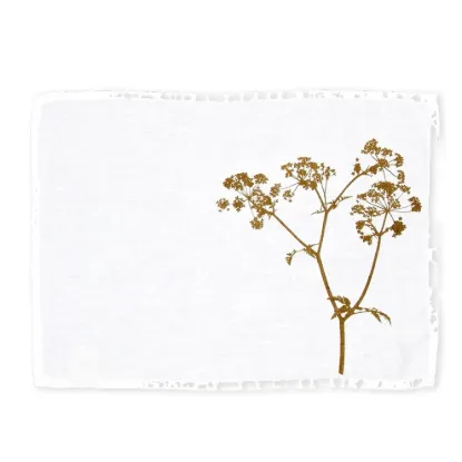 Bild von Tischset SET-ANTHRISCUS/w-u (32 x 45)