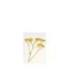 Bild von Grüßkarte CARD-YARROW-DIN-small