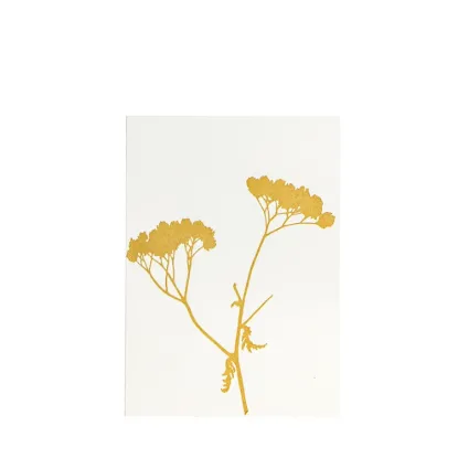Bild von Grüßkarte CARD-YARROW-DIN-B6