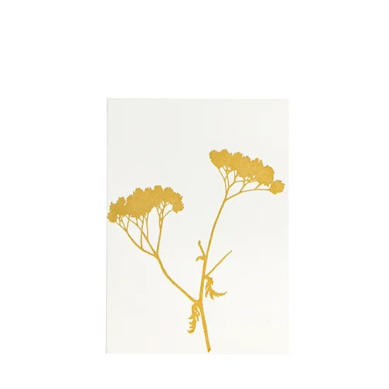 Bild von Grüßkarte CARD-YARROW-DIN-B6