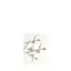 Bild von Grüßkarte CARD-WREN-small