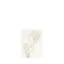 Bild von Grüßkarte CARD-SNOWBERRY-small