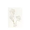 Bild von Grüßkarte CARD-SNOWBERRY-DIN-B6