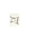 Bild von Grüßkarte CARD-SKI-small