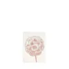 Bild von Grüßkarte CARD-SCABIOSA-DIN-small