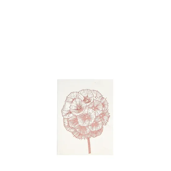 Bild von Grüßkarte CARD-SCABIOSA-DIN-small