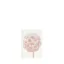 Bild von Grüßkarte CARD-SCABIOSA-DIN-small