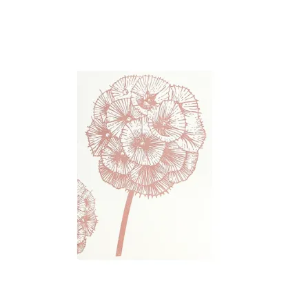 Bild von Grüßkarte CARD-SCABIOSA-DIN-B6