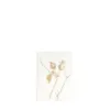 Bild von Grüßkarte CARD-ROSEHIP-small