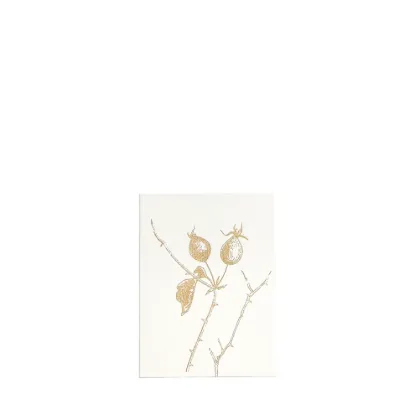 Bild von Grüßkarte CARD-ROSEHIP-small