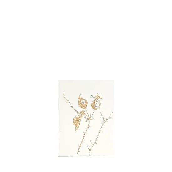 Bild von Grüßkarte CARD-ROSEHIP-small