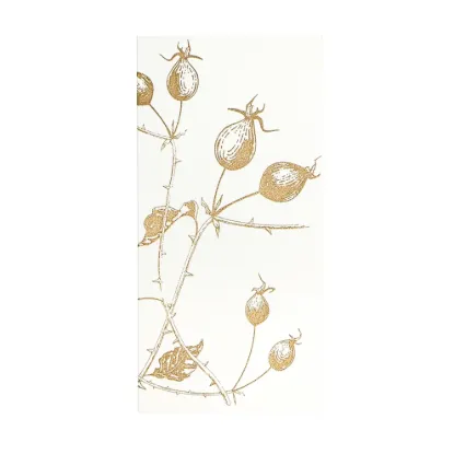 Bild von Grüßkarte CARD-ROSEHIP-DIN-lang