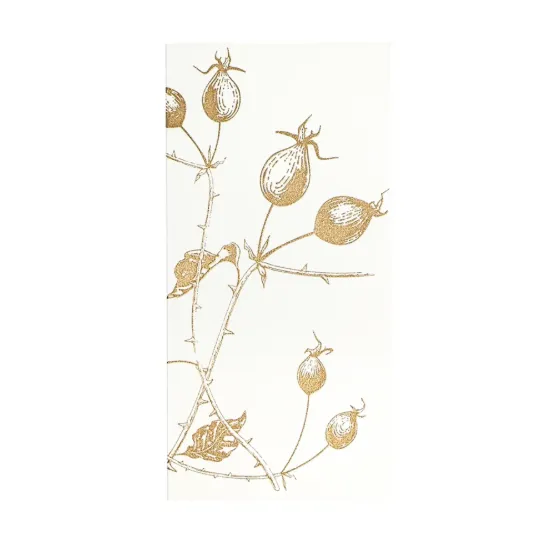 Bild von Grüßkarte CARD-ROSEHIP-DIN-lang