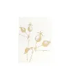 Bild von Grüßkarte CARD-ROSEHIP-DIN-B6