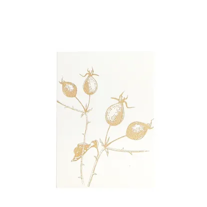 Bild von Grüßkarte CARD-ROSEHIP-DIN-B6