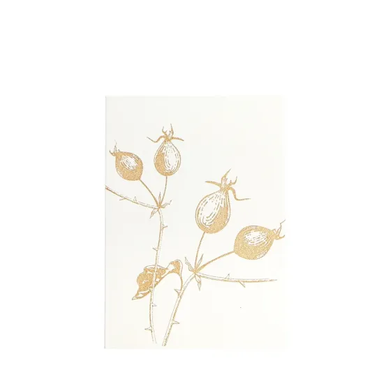 Bild von Grüßkarte CARD-ROSEHIP-DIN-B6
