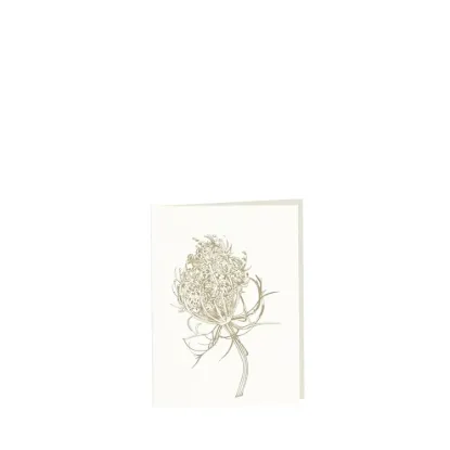 Bild von Grüßkarte CARD-QUEENANNE-small (9 x 12 )