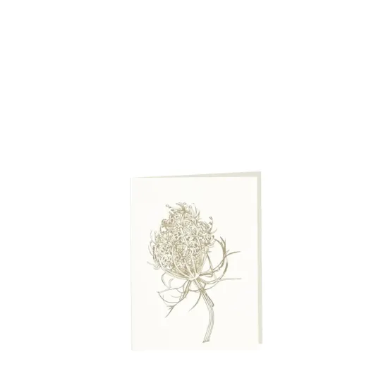 Bild von Grüßkarte CARD-QUEENANNE-small (9 x 12 )
