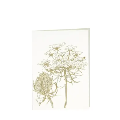 Bild von Grüßkarte CARD-QUEENANNE-DIN-B6 (12,5 x 17,6 )