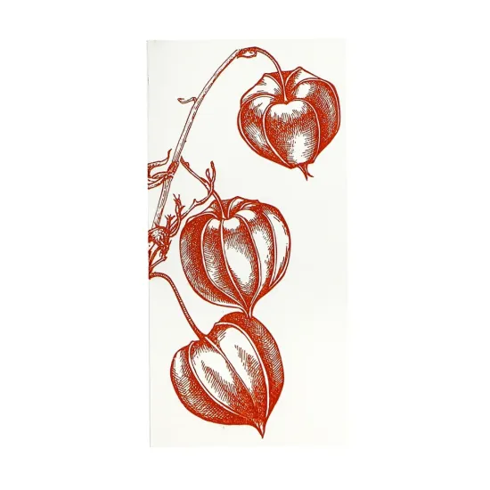 Bild von Grüßkarte CARD-PHYSALIS-DIN-lang