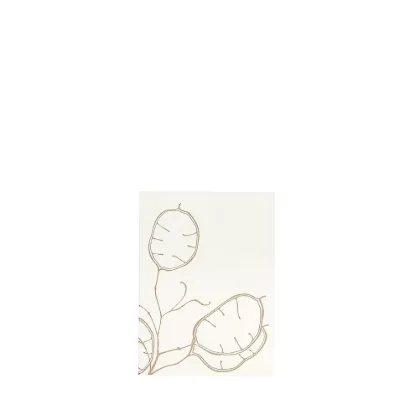Bild von Grüßkarte CARD-LUNARIA-DIN-small