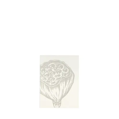 Bild von Grüßkarte CARD-LOTUS-DIN-small