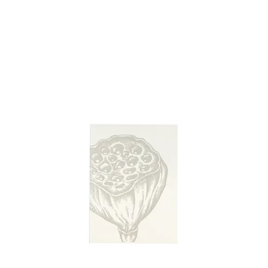 Bild von Grüßkarte CARD-LOTUS-DIN-small