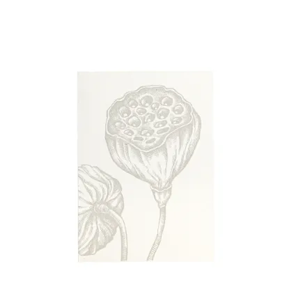 Bild von Grüßkarte CARD-LOTUS-DIN-B6