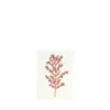 Bild von Grüßkarte CARD-HOLLY-small