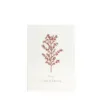 Bild von Grüßkarte CARD-HOLLY-DIN-B6