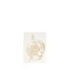 Bild von Grüßkarte CARD-HELLEBORUS-small