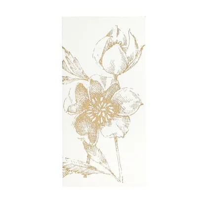 Bild von Grüßkarte CARD-HELLEBORUS-DIN-lang