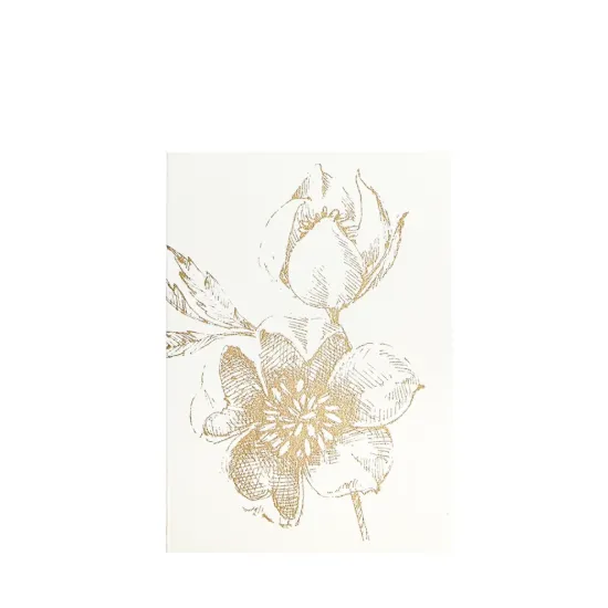 Bild von Grüßkarte CARD-HELLEBORUS-DIN-B6