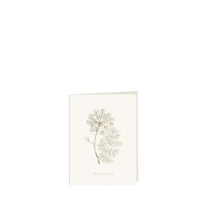 Bild von Grüßkarte CARD-FOENICULUM-small (9 x 12 )