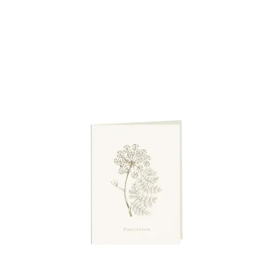 Bild von Grüßkarte CARD-FOENICULUM-small (9 x 12 )