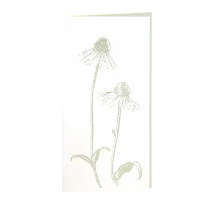 Bild von Grüßkarte CARD-ECHI-DIN-lang (10,5 x 21)